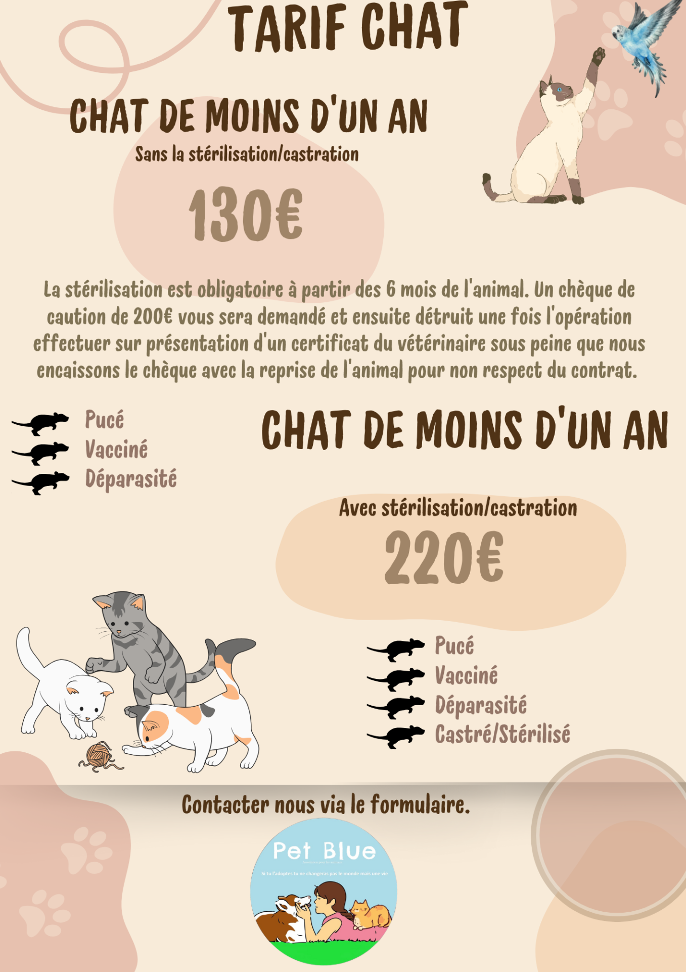 bébé chat