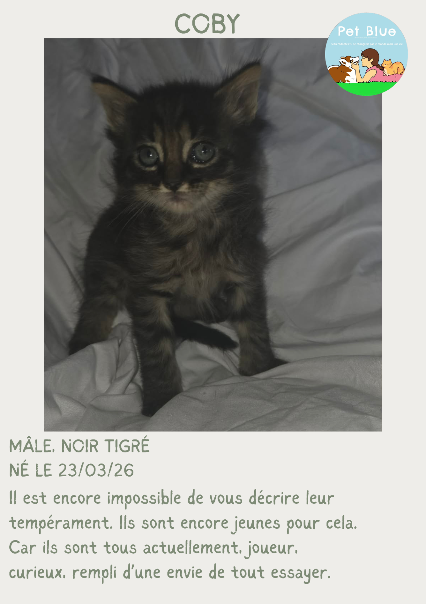 Fiche coby